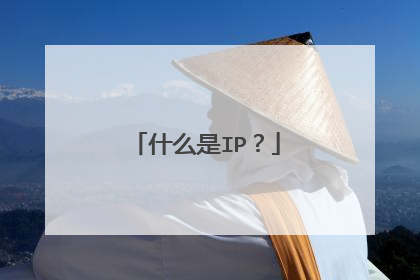 什么是IP？