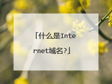 什么是Internet域名?