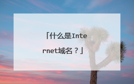什么是Internet域名？