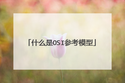 什么是OSI参考模型
