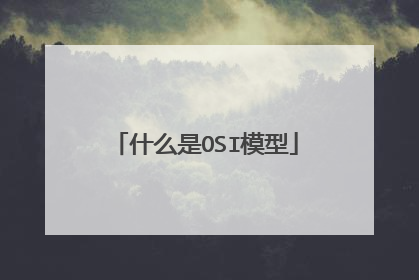 什么是OSI模型