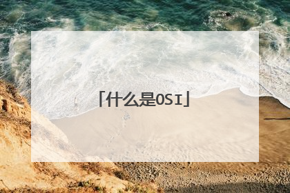 什么是OSI