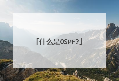 什么是OSPF?