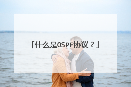 什么是OSPF协议？