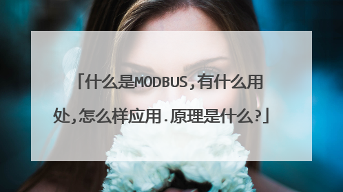 什么是MODBUS,有什么用处,怎么样应用.原理是什么?