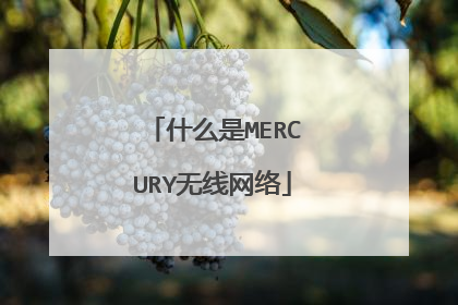 什么是MERCURY无线网络