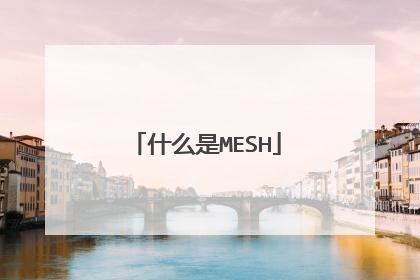 什么是MESH