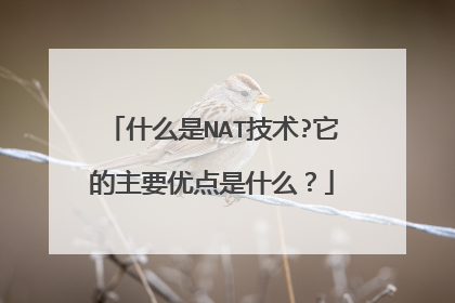 什么是NAT技术?它的主要优点是什么？