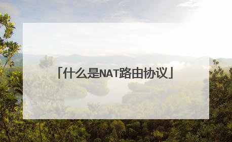 什么是NAT路由协议