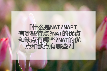 什么是NAT?NAPT有哪些特点?NAT的优点和缺点有哪些?NAT的优点和缺点有哪些?