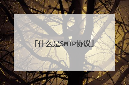 什么是SMTP协议