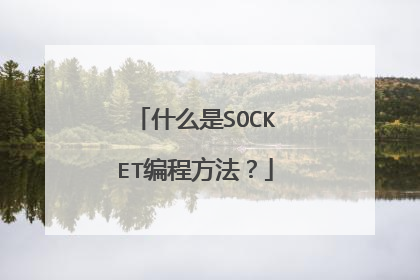 什么是SOCKET编程方法？