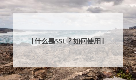 什么是SSL?如何使用