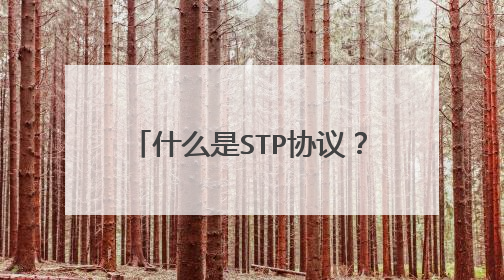 什么是STP协议?它的作用是什么?