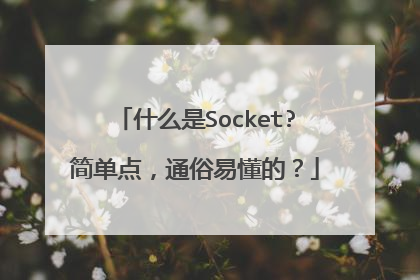 什么是Socket?简单点,通俗易懂的?