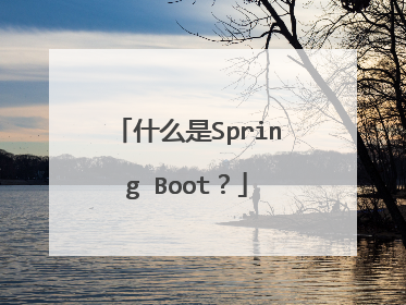 什么是Spring Boot?