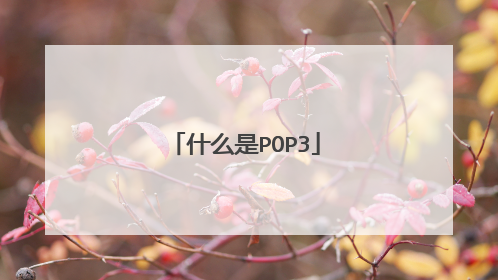 什么是POP3