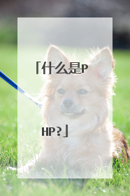 什么是PHP?