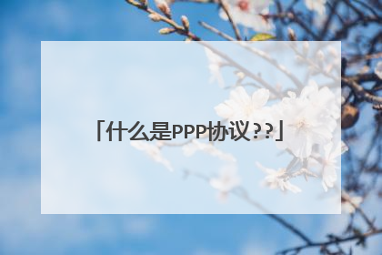 什么是PPP协议??