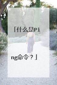 什么是Ping命令?