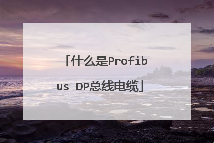 什么是Profibus DP总线电缆