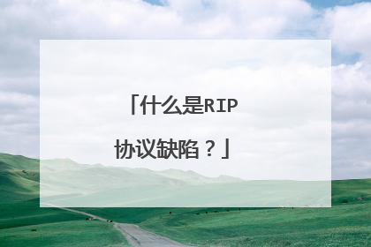 什么是RIP协议缺陷?