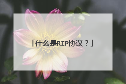 什么是RIP协议？