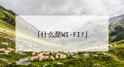 什么是WI-FI?