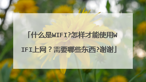 什么是WIFI?怎样才能使用WIFI上网？需要哪些东西?谢谢
