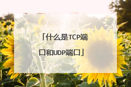 什么是TCP端口和UDP端口