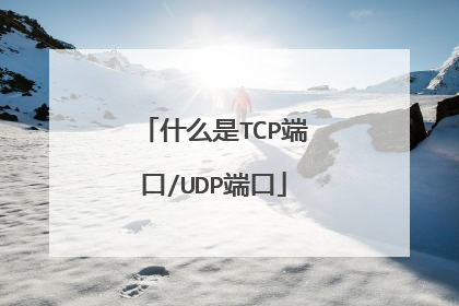 什么是TCP端口/UDP端口