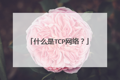 什么是TCP网络？