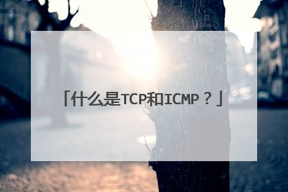 什么是TCP和ICMP？