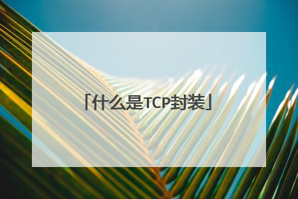 什么是TCP封装