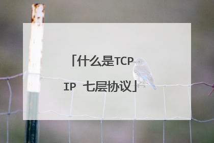 什么是TCP IP 七层协议