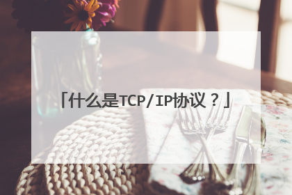 什么是TCP/IP协议?