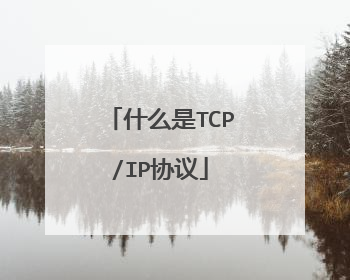 什么是TCP/IP协议