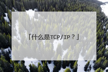 什么是TCP/IP？