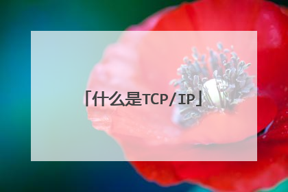 什么是TCP/IP