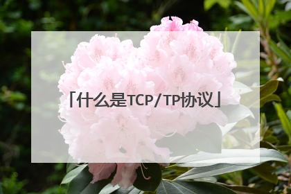 什么是TCP/TP协议