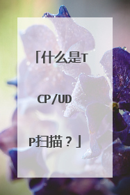 什么是TCP/UDP扫描？