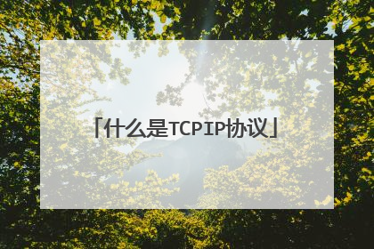 什么是TCPIP协议