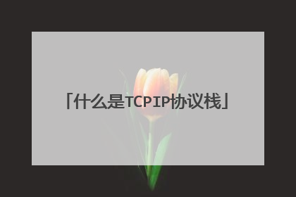 什么是TCPIP协议栈