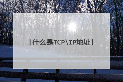 什么是TCPIP地址