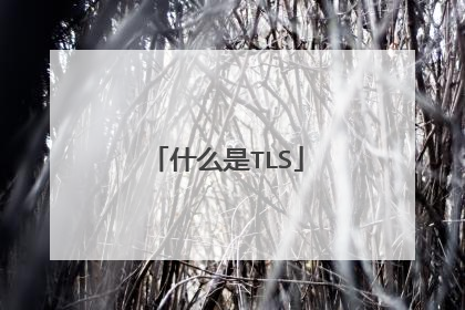 什么是TLS