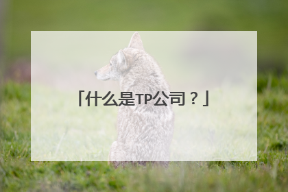 什么是TP公司？