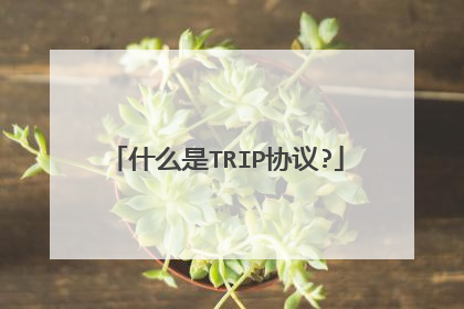 什么是TRIP协议?
