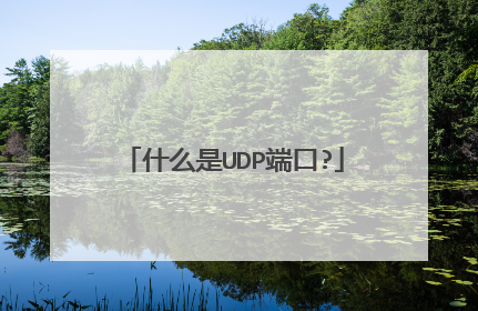 什么是UDP端口?