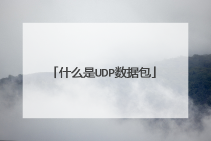 什么是UDP数据包