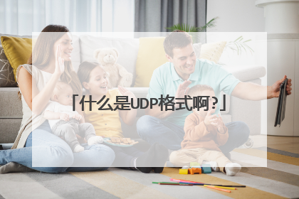 什么是UDP格式啊?